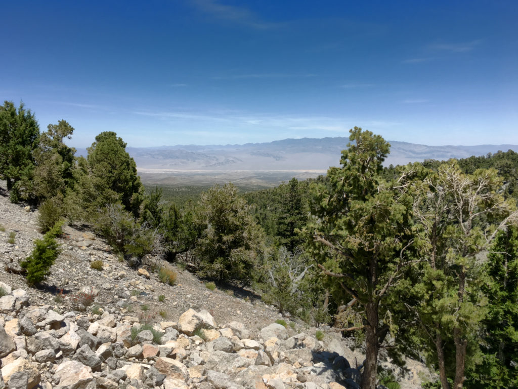 View From Mt. Charleston