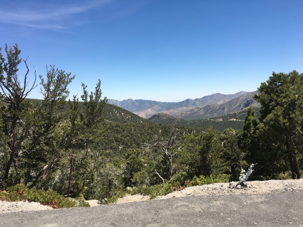 View From Mt. Charleston